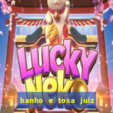banho e tosa juiz de fora